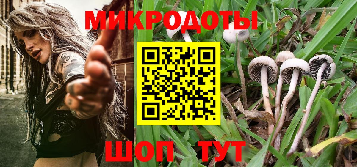 Псилоцибиновые грибы Psilocybe Александров
